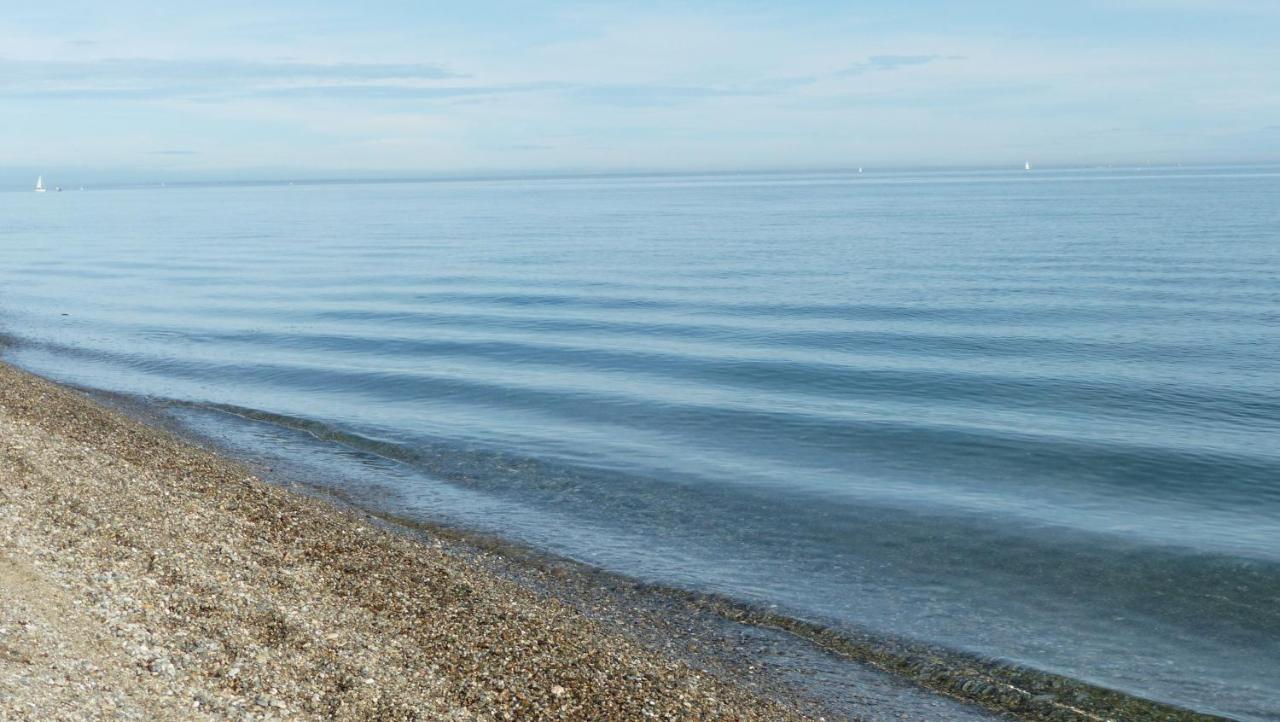 Belle Vue Sur Mer Au Calme Argelès-sur-Mer Esterno foto